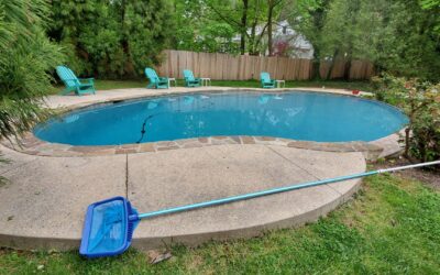 Seasonal Maintenance Tips for Your Pool and Spa