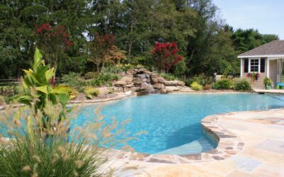 rom Dream to Reality: A Guide to Designing Your Perfect Custom Pool